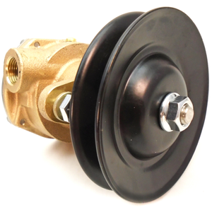 Kohler Raw Water Pump