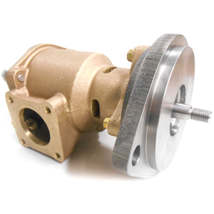 Caterpillar Raw Water Pump