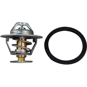 160 degree Thermostat & Sealing Ring