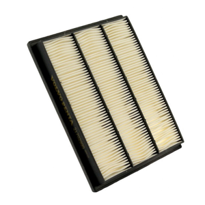 Air Filter Insert
