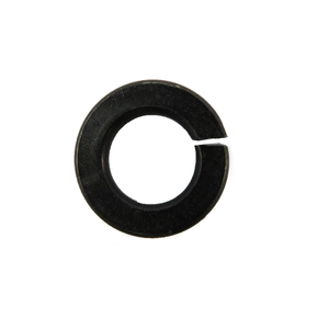 Lock Washer