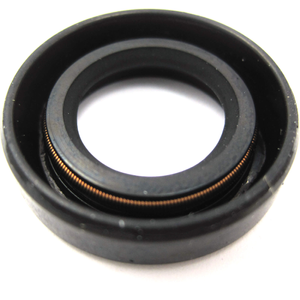 Sealing Ring