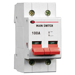 Lewden GMS1002P 100A Double Pole Main Switch