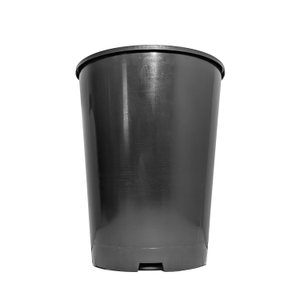 Deep Rose Pots (1L-7L Sizes) - 2 Litre/140mm diameter, 20