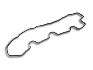 Rocker Cover Gasket - 300TDI