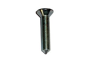 Hinge to Bulkhead Screw