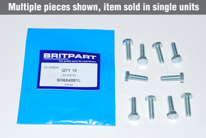 Screw | 1/4 Inch Unf x 1 Inch Range