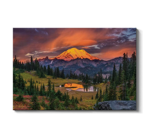 Mt. Rainier National Park at sunrise. USA, Washington State.