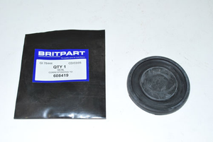 Fuel cap seal - for flip up type cap