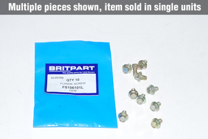 Flange Screw