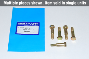 Hinge Bolt