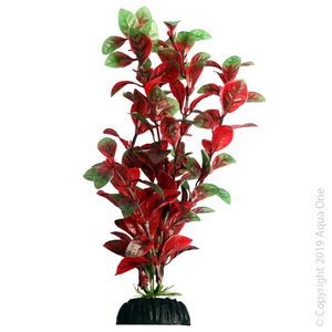 AquaOne Ecoscape Red Hygro 20cm