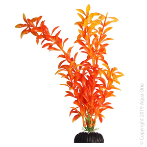 AquaOne Ecoscape Orange Ludwigia 20cm