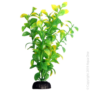 AquaOne Ecoscape Green Hygro 20cm