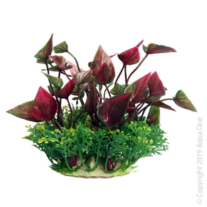 AquaOne Ecoscape Red Lily Fountain Plant 10cm