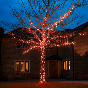 5m Red Fairy Lights, Connectable, 50 LEDs, Dark Green Cable