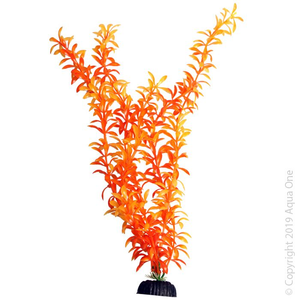 AquaOne Ecoscape Orange Ludwigia 40cm