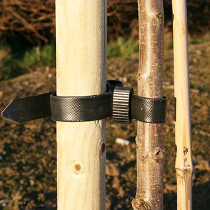 Tree Stake and Rubber Tie - 4-5ft
