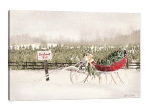 Red Sleigh at Tree Farm