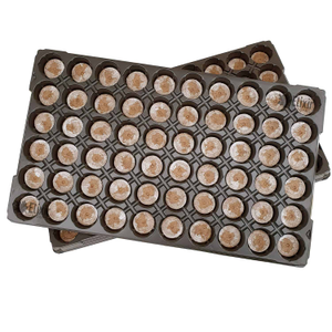 Jiffy 7 Preloaded Trays | Organic Peat Compost Pellets & Hydroponic Seed Propagation - 24mm, 208 in 2 x 104-cell Trays
