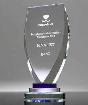 Executive Crystal Award