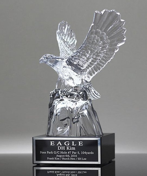 Landing Eagle Crystal Trophy