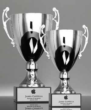 Fairway Silver Trophy Cup