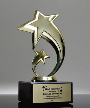 Star Fusion Award