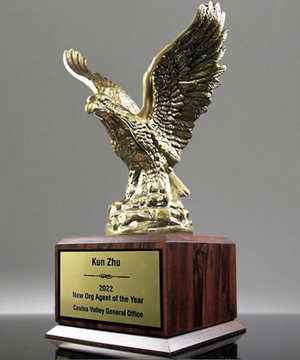 Eagle in Flight Award