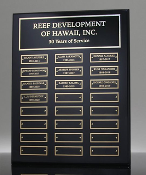 Employee Awards Plaque 24 Plates
