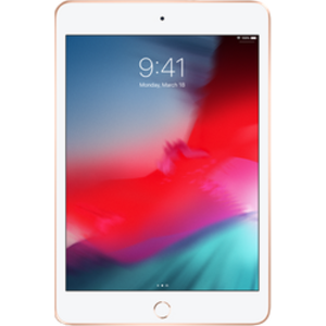 Apple iPad Mini (5th Gen)