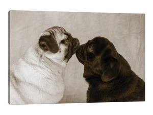 Pooch Smooch