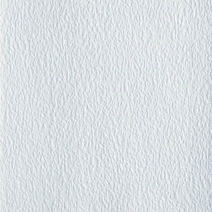 Anaglypta Precision Embossed Lace Bark - RD181