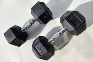 12kg Dumbbells (Pair)