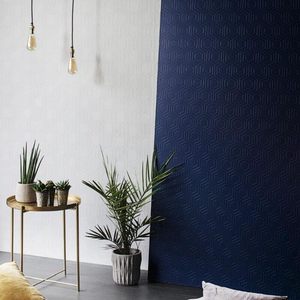 Anaglypta Luxury Textured Vinyl Wallpaper Hive - RD5671
