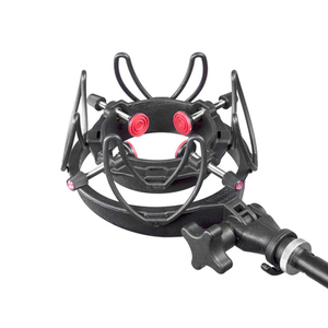 Rycote InVision USM (for 18-55mm Diameter Mics)