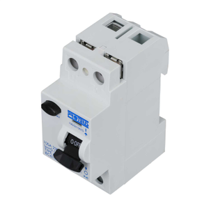 100A 2 Pole 100mA Type A Time Delay RCD