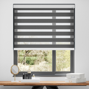 Origin, Pewter - Day Night Blind