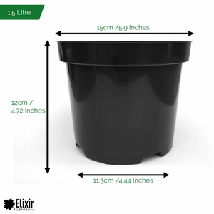 Black Plastic Plant & Flower Pot/Planters (1L-80L Sizes) - 1.5 Litre, 100
