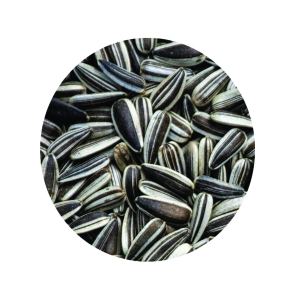 Sunflower Seeds