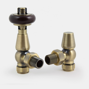 Windsor Angled TRV - Antique Brass