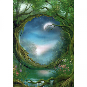 Day and Night Greeting Card (Blank)