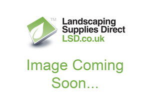 Bradstone - Natural Sandstone Paving - Fossil Buff - 600 x 600 - Individual