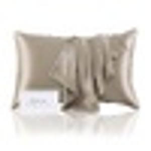 Silk Pillowcase Champagne