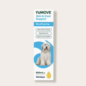 Skin & Coat Support Moulting Dog - 500ml