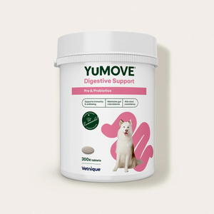 Digestive Support Pre & Probiotic for Dogs - 120 Tablets