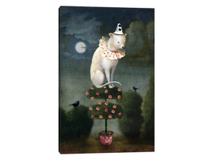 Harlekin Cat