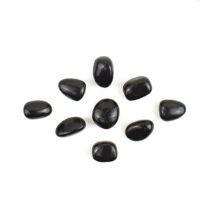 Shungite Tumblestone