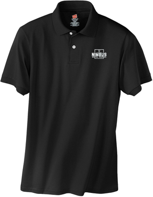 Hanes EcoSmart 5.2-Ounce Jersey Knit Sport Shirt