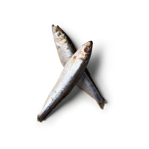 Sprats 1kg
